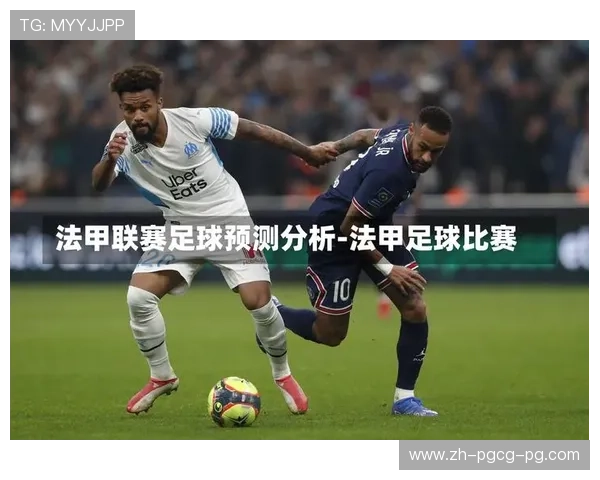 法甲比赛数据更新频率及数据分析应用